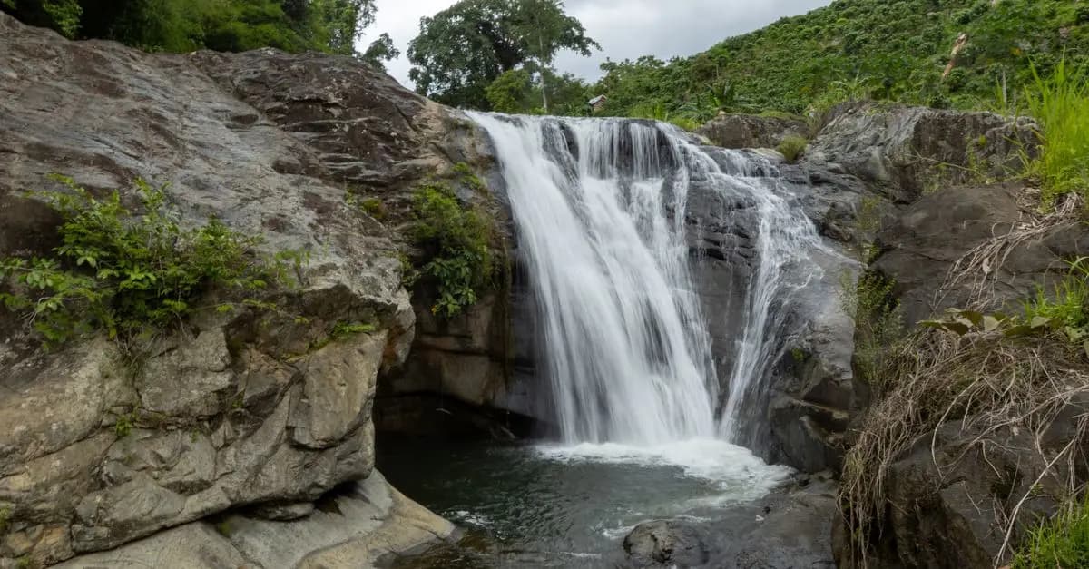 Top 10 des Lieux pour un Événement Écoresponsable