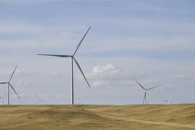 Comment Évaluer la Durabilité d'un Événement Écoresponsable