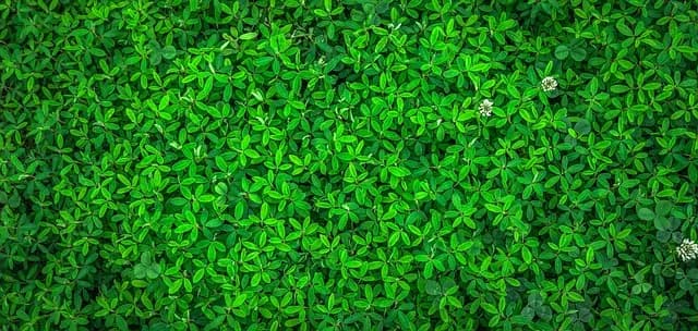 Comment Créer un Événement Écoresponsable et Impactant